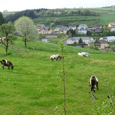 Ferienwohnung Schilz *